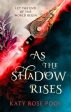 As the Shadow Rises : Book Two of The Age of Darkness Online Hot Sale