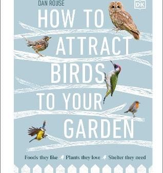 How to Attract Birds to Your Garden: Foods they like, plants they love, shelter they need Online Hot Sale